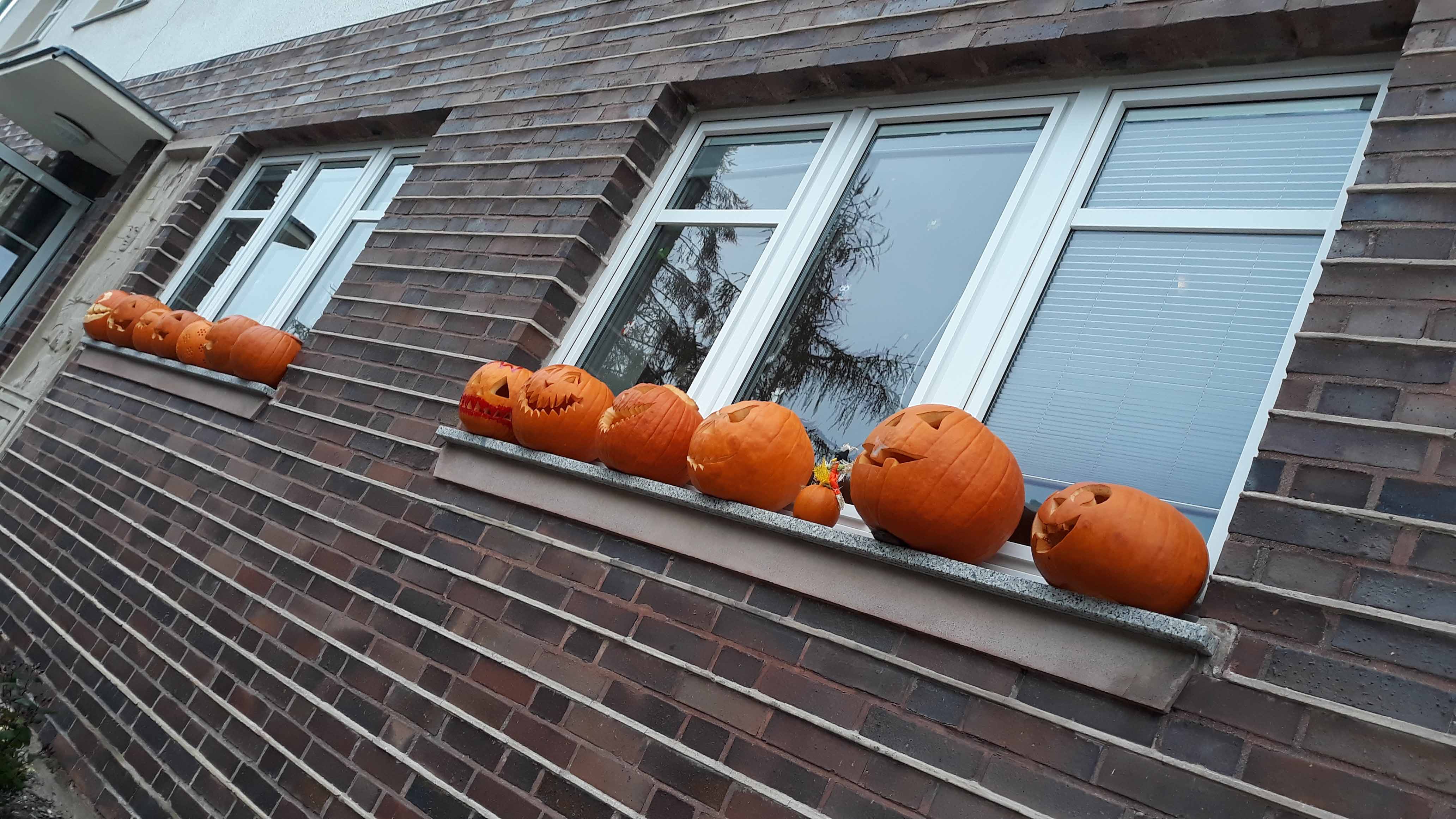 In diesem Jahr haben sich Kinder und Erzieher des Kindergartens Steinach zur Herbstwoche etwas Besonderes einfallen lassen.