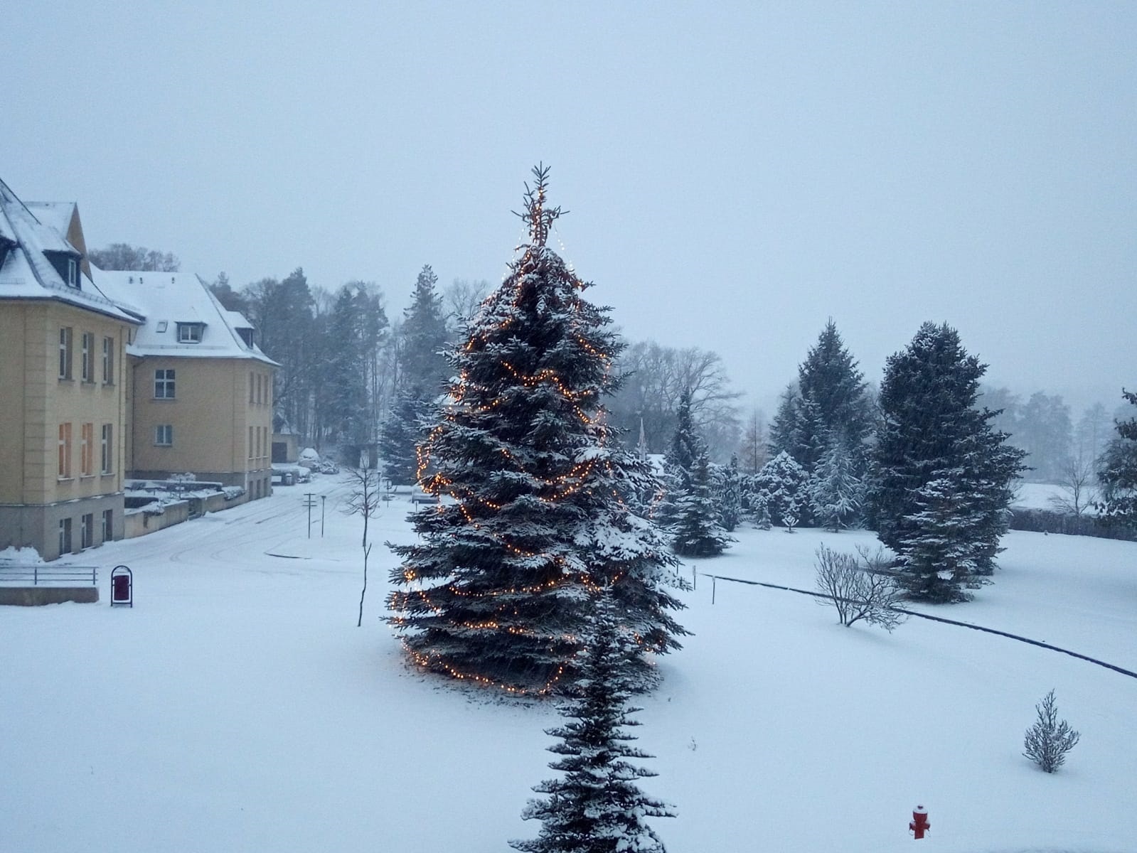 Wintermorgen in Zeulenroda