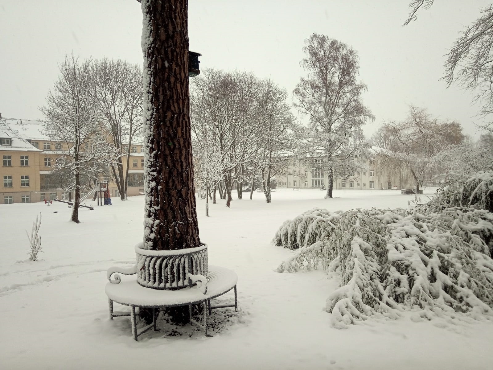 Winter in Zeulenroda