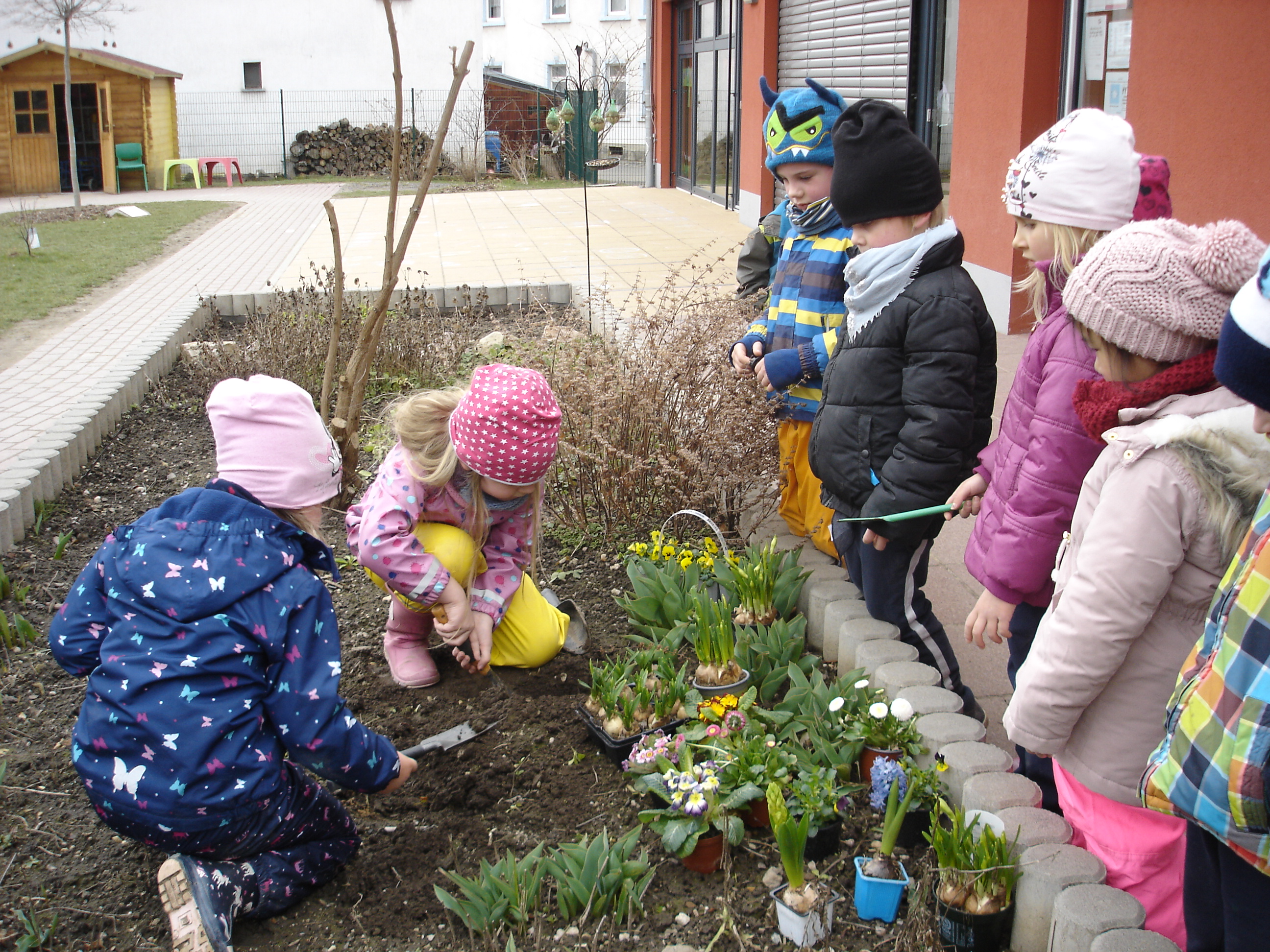 Frühling im "Knirpsenland"